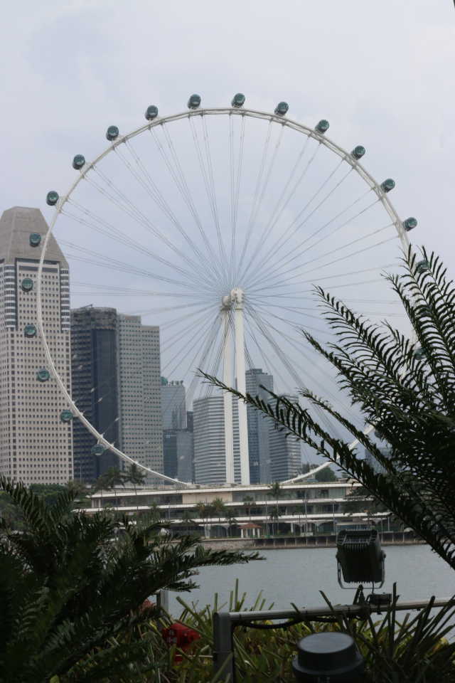 "Singapore Flyer"