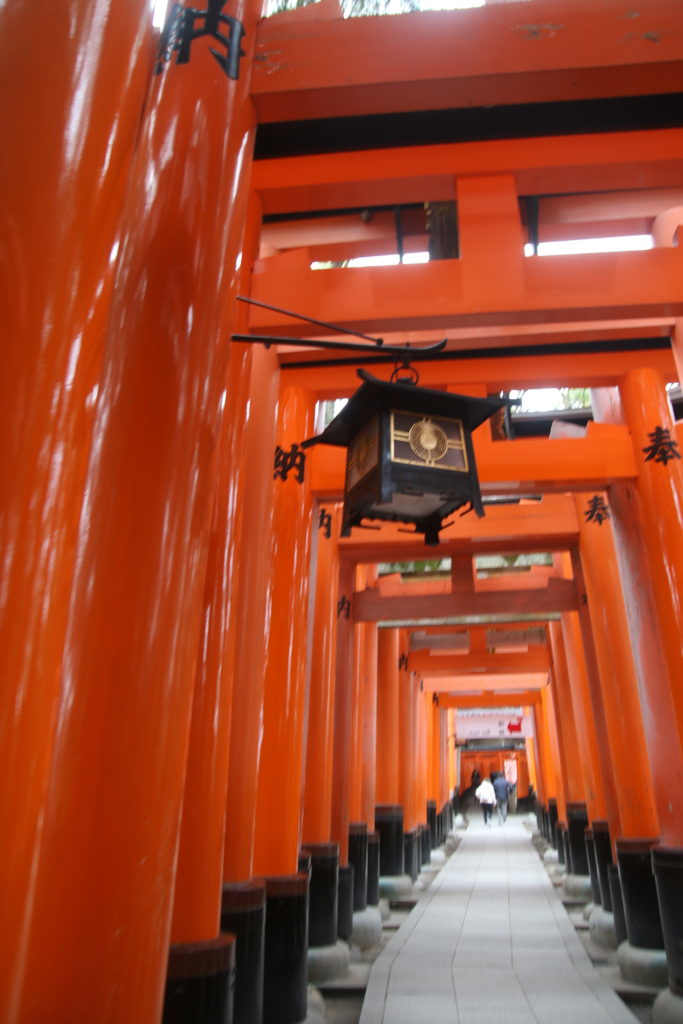 Torii Gates of Fushimi Inari Kyoto Japan Day Tour Activity and Itinerary