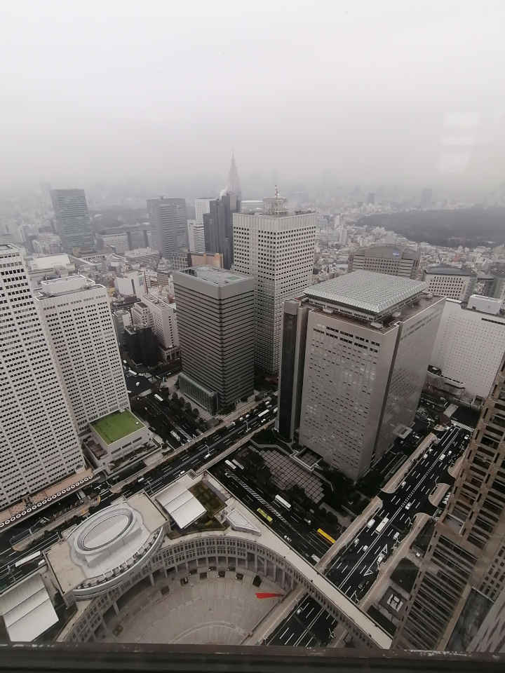 View From Top of Metropolitan Government Building