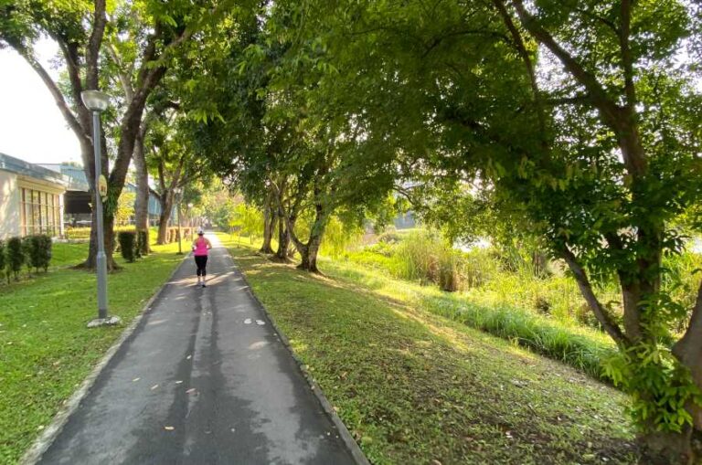 A Walk Around Yishun Pond Park