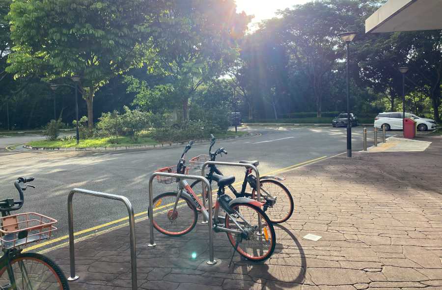 Springleaf Nature Park | All Access Guide • The Gees Travel