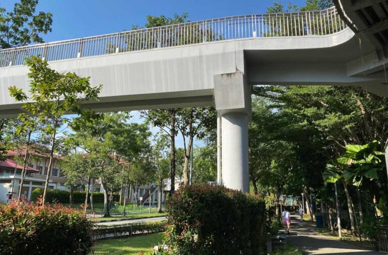 Overhead Bridge Yishun Pond Park
