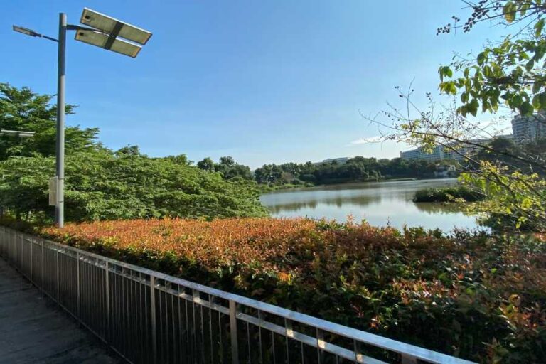 View of Yishun Pond From The Promenade