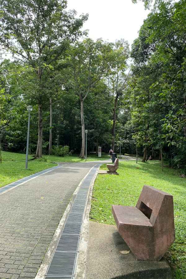 The Comprehensive Guide To Yishun Park Singapore • The Gees Travel