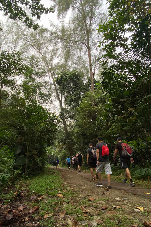 Hiking The Forest Trail Of Sungei Buloh Wetland Reserve