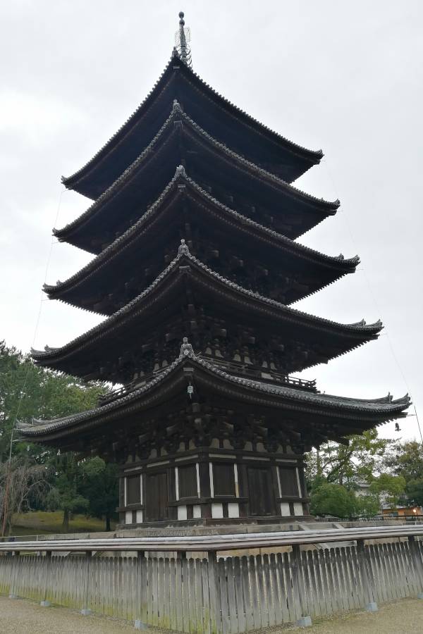 Kofukuji Pagoda In Nara Park Japan
