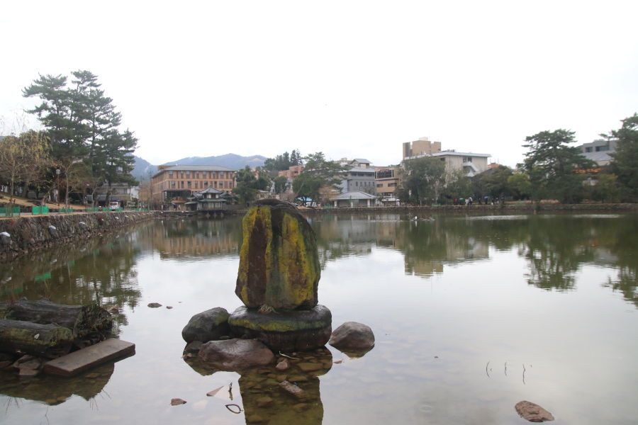 Sarusawa Pond In Nara Park In Japan
