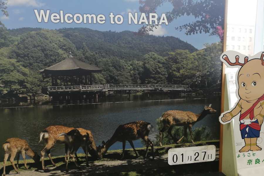 Welcome To Nara Japan