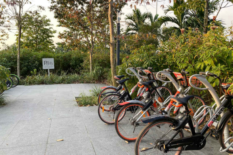 Bike Rental At Rower's Bay Park Singapore
