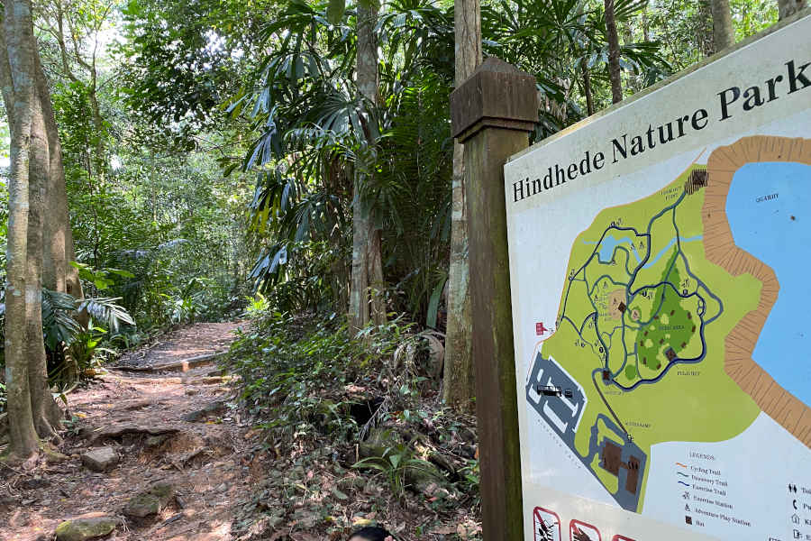 Hindhede Nature Park Singapore • The Gees Travel