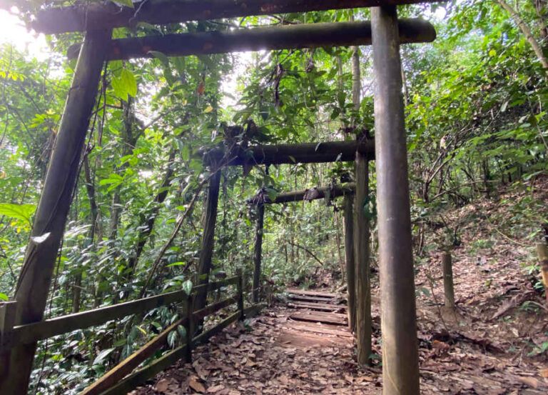 Torii Gates At Bukit Batok Hillside Park