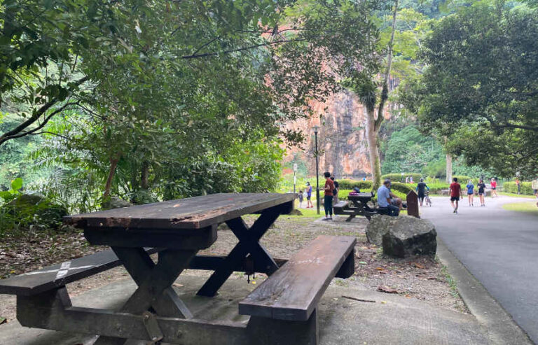 Bench At Bukit Batok Nature Park