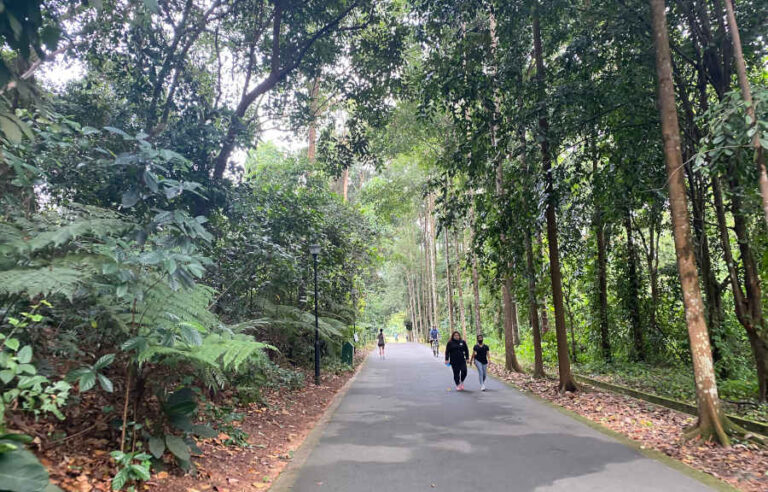 Pave Path Bukit Batok Park