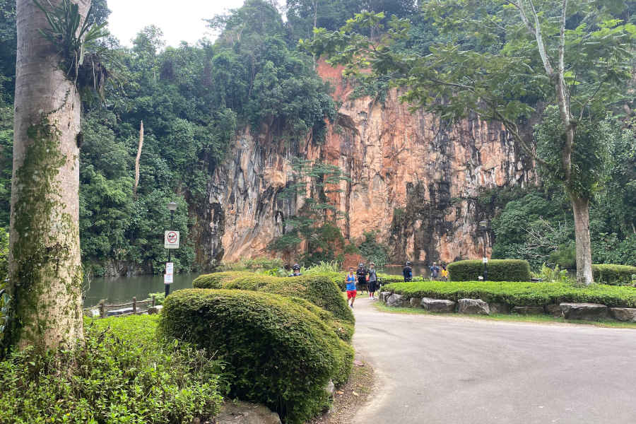 Bukit Batok Nature Park Visitor's Guide • The Gees Travel