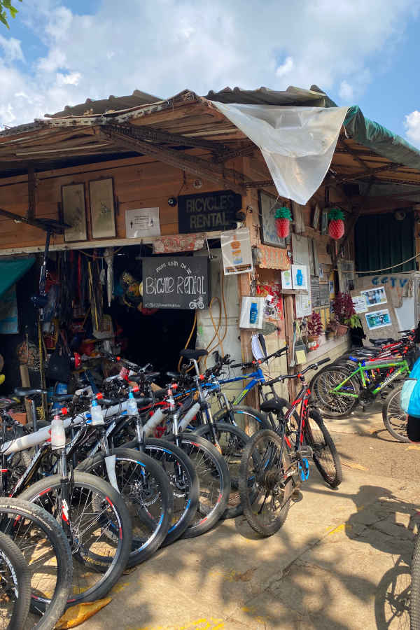 Bicycle Rental Shop In Pulau Ubin