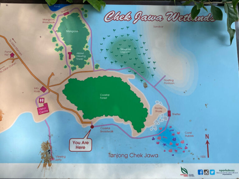 Chek Jawa Wetlands Map