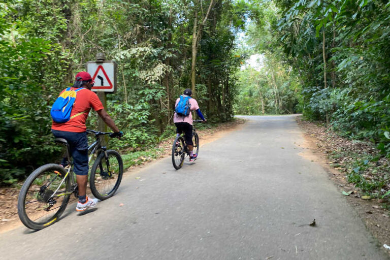 Cycling In Pulau Ubin