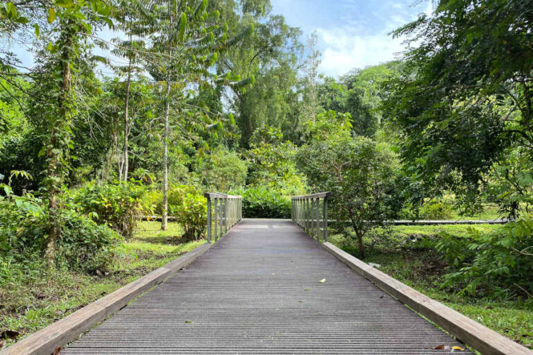 Hanguana Trail Entrance Windsor Nature Park