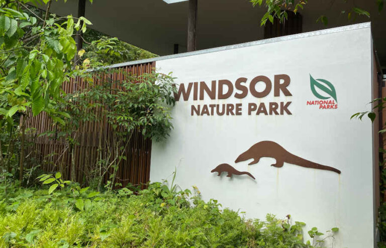 Windsor Nature Park Singapore