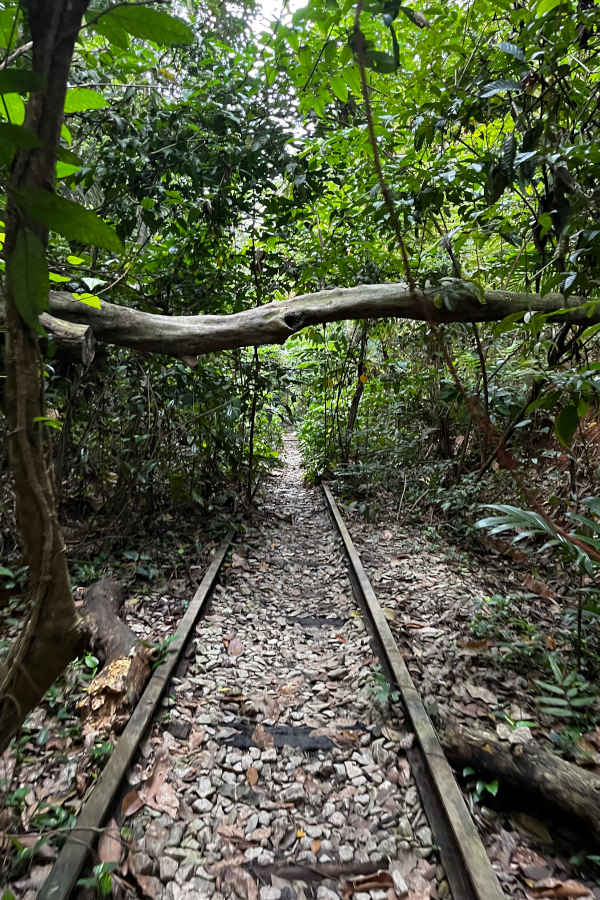 Old Jurong Railway Clementi Forest