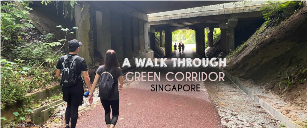 A Walk Through Green Corridor Singapore