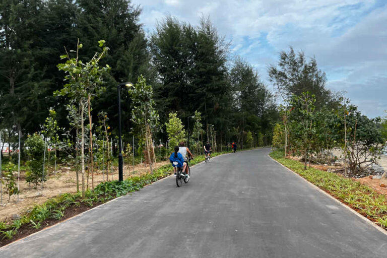 Cycling Along Changi Bay Park Connector