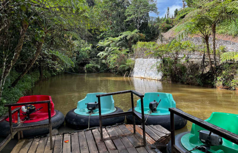 Bumper Boats at Dahilayan Forest Park