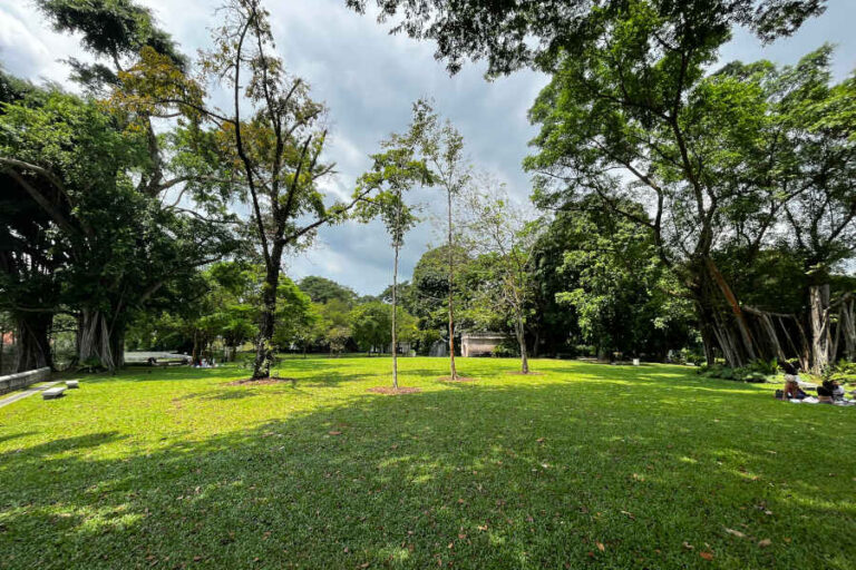 Picnic Area Fort Canning Park