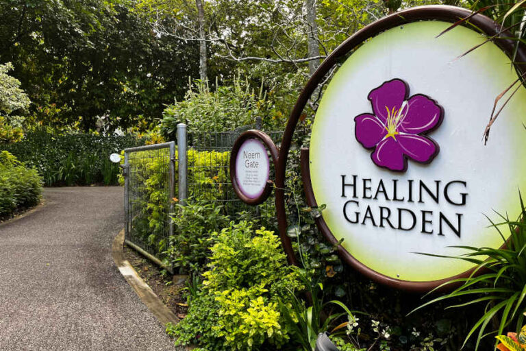 Healing Garden At Botanic Garden Singapore