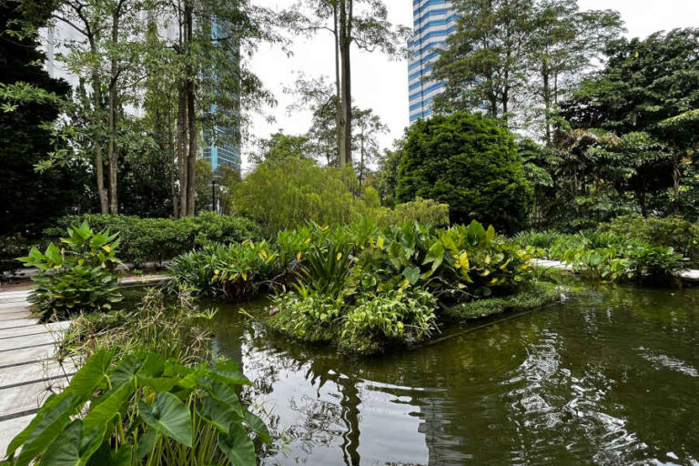 Water Garden At Hort Park Singapore