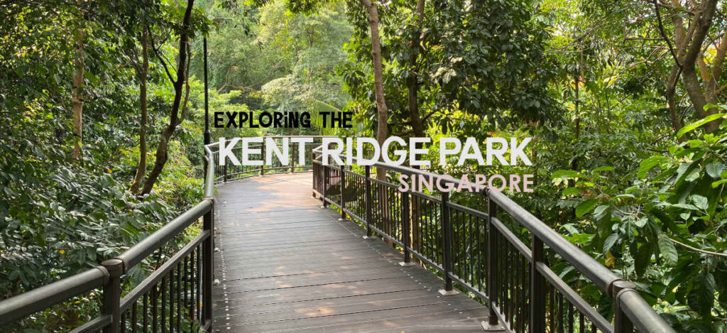 Canopy Walk At Kent Ridge Park Singapore