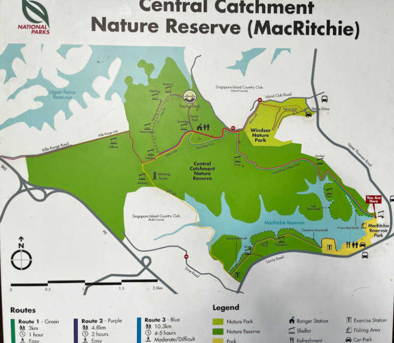 Macritchie Central Catchment Park Map