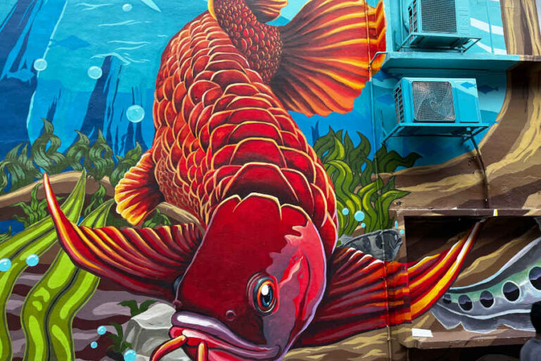Koi Fish Street Art Murals Kuala Lumpur