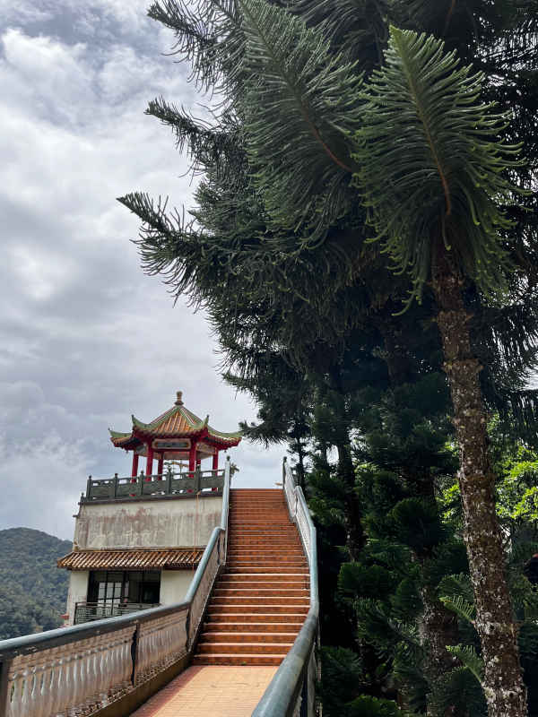 Pine Tree and Balcony Chin Swee Temple