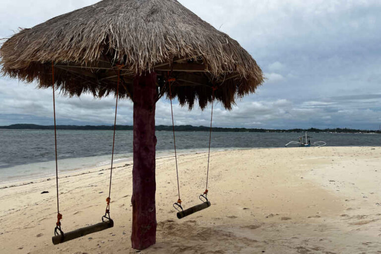 Swing At Guyam Island Siargao