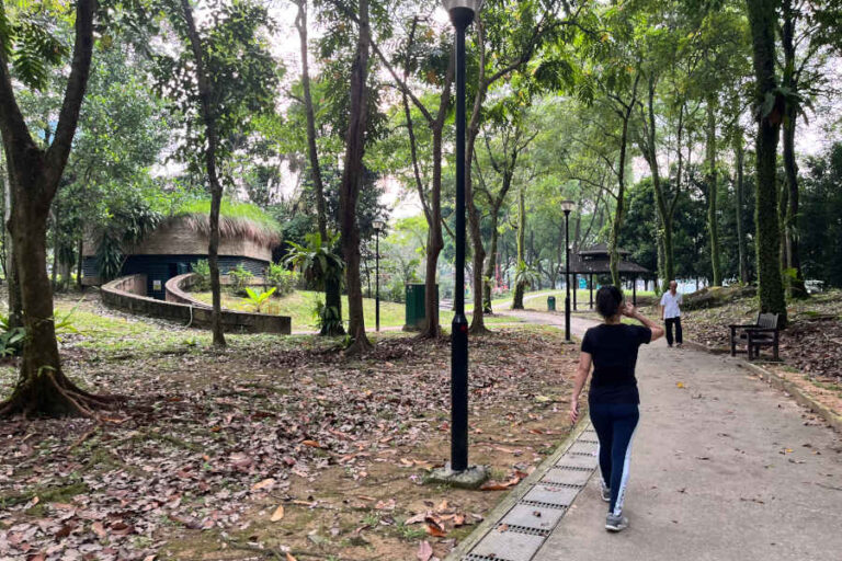 Walking At Toa Payoh Town Park