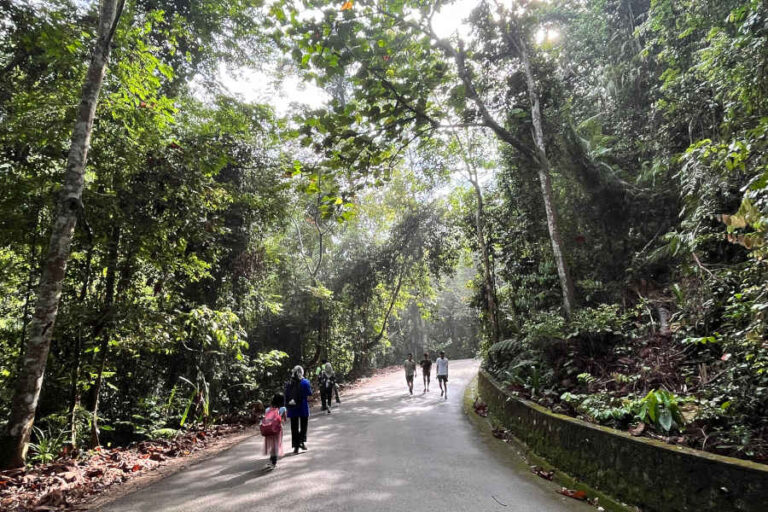 Pavement Hiking Gunung Pulai Johor