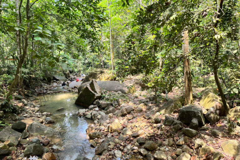 River Stream Gunung Pulai Johor