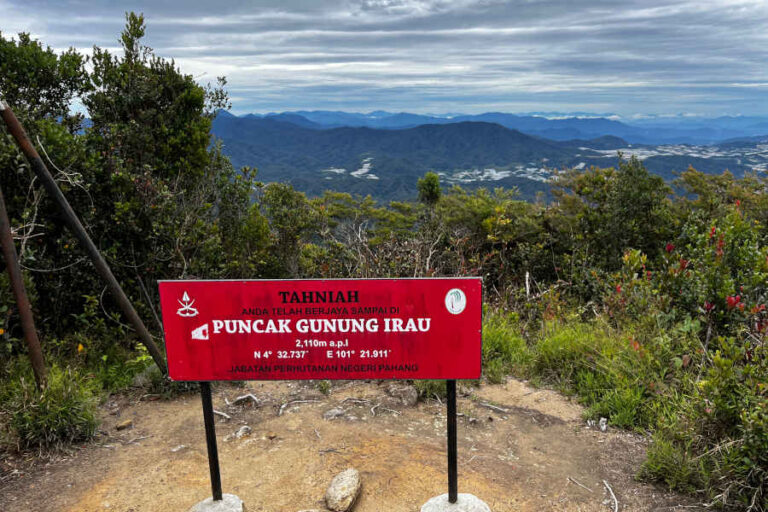 Exploring Gunung Irau Cameron Highlands • The Gees Travel