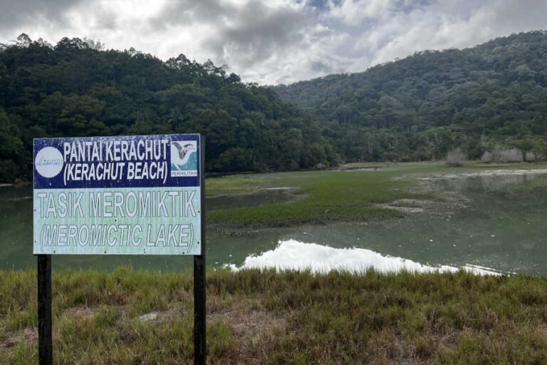 Meromictic Lake Pantai Kerachut