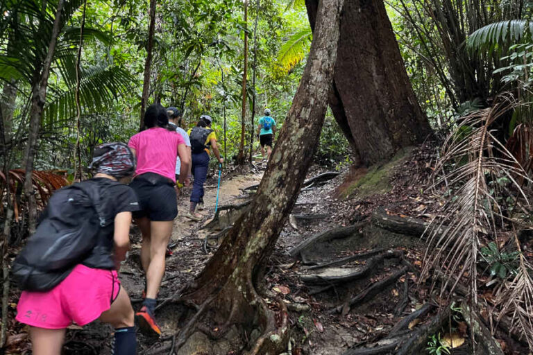 Hiking At Penang National Park to Pantai Kerachut