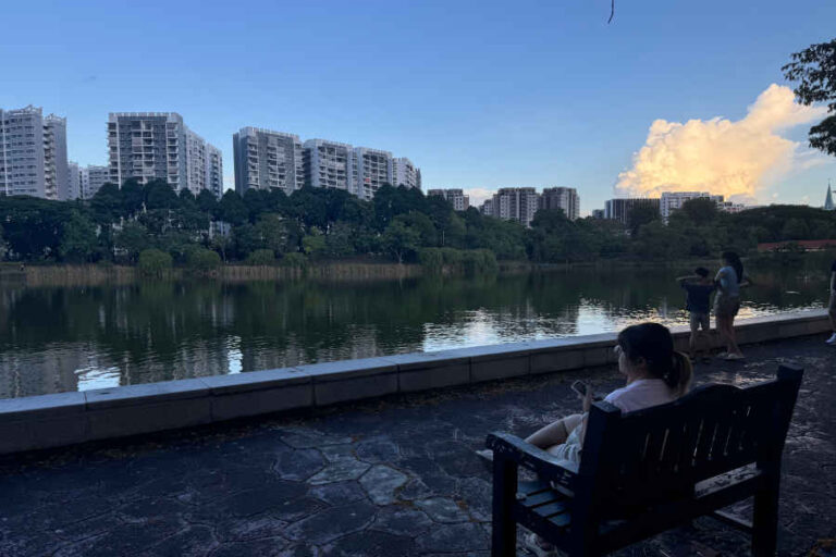 Sitting At Bench In Front Pond Of Punggol Park