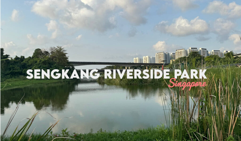 Sengkang Riverside Park Singapore