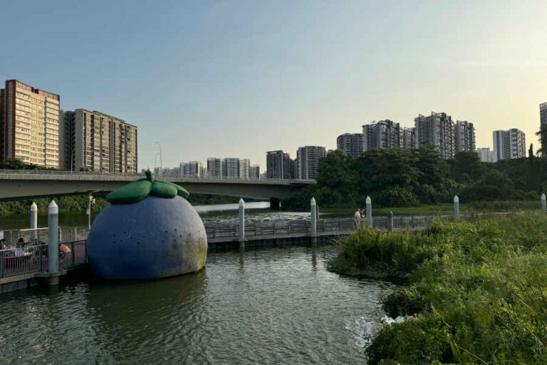 Floating Wetland At Sengkang Riverside Park