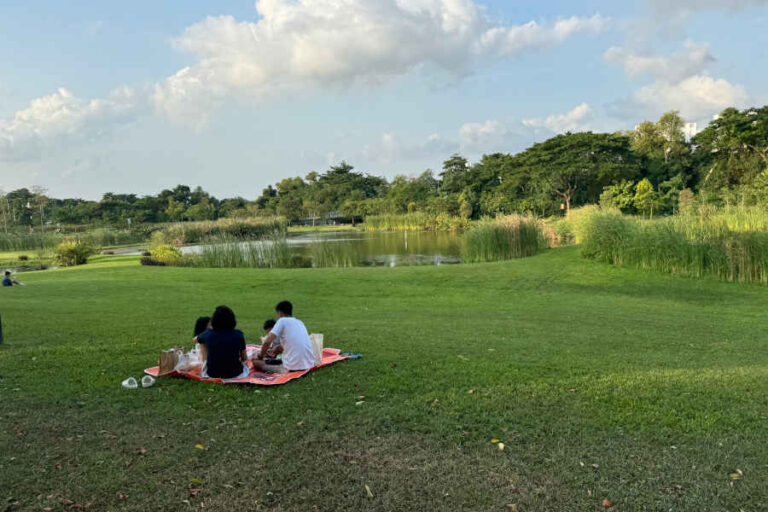 Family Picnic At Sengkang Riverside Park