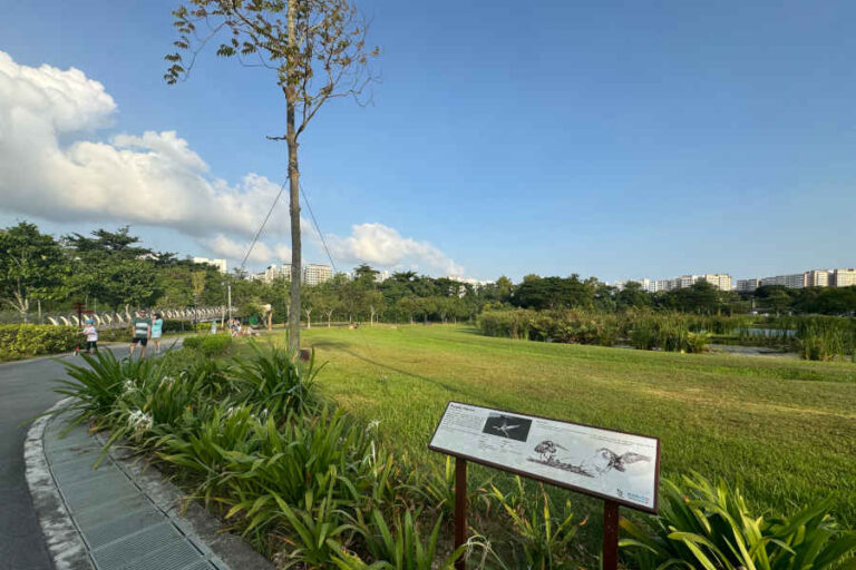 Scenic View At Sengkang Riverside Park