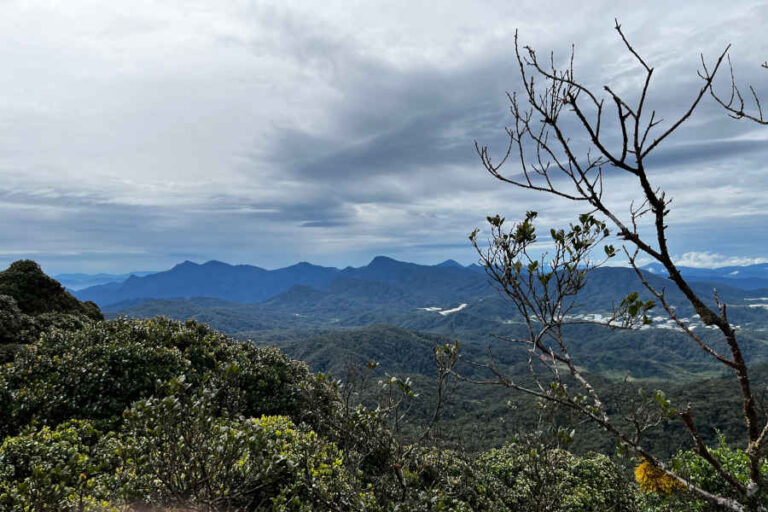 Cameron Highlands Overview Brinchang