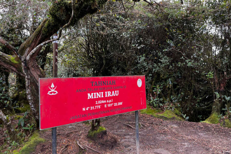 Mini Irau Summit Gunung Irau Cameron Highlands