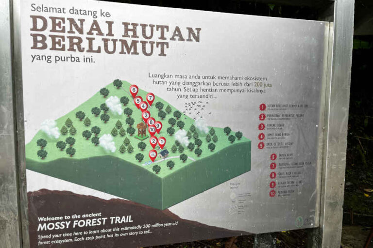 Trail Map Of Gunung Irau Cameron Highlands