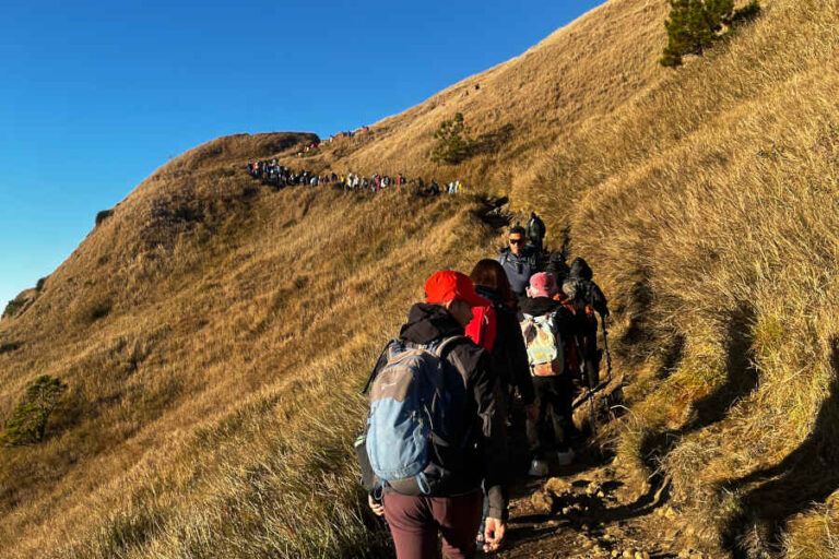 Hiking Trails To Mount Pulag